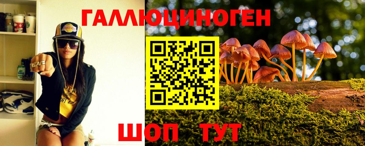 Красный Сулин  Псилоцибиновые грибы ЛСД  Вход с VPN 