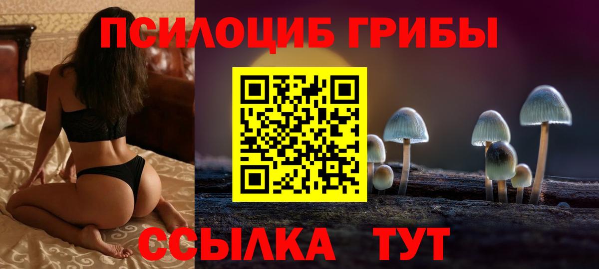 Галлюциногенные грибы Psilocybe Красный Сулин