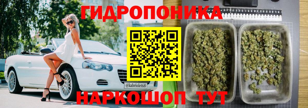 Бошки Шишки конопля Красный Сулин